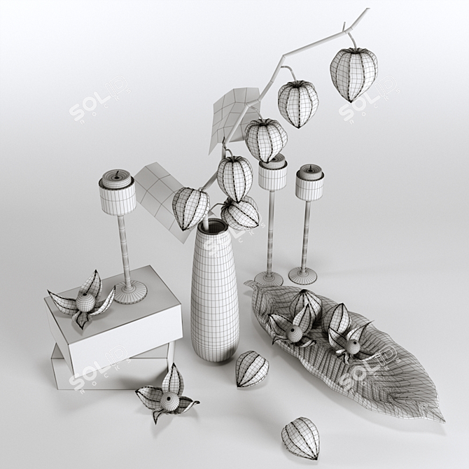 Elegant Physalis Decor Set 3D model image 4