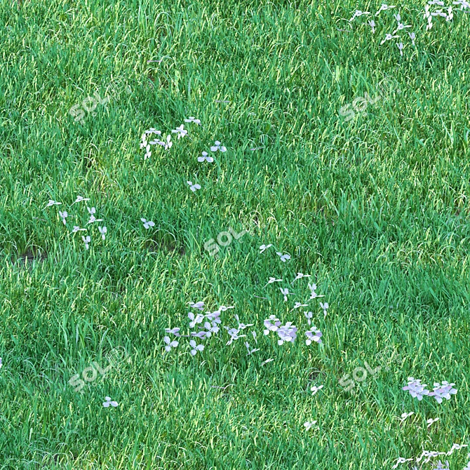 Luscious 5cm Grass for Landscapes 3D model image 2