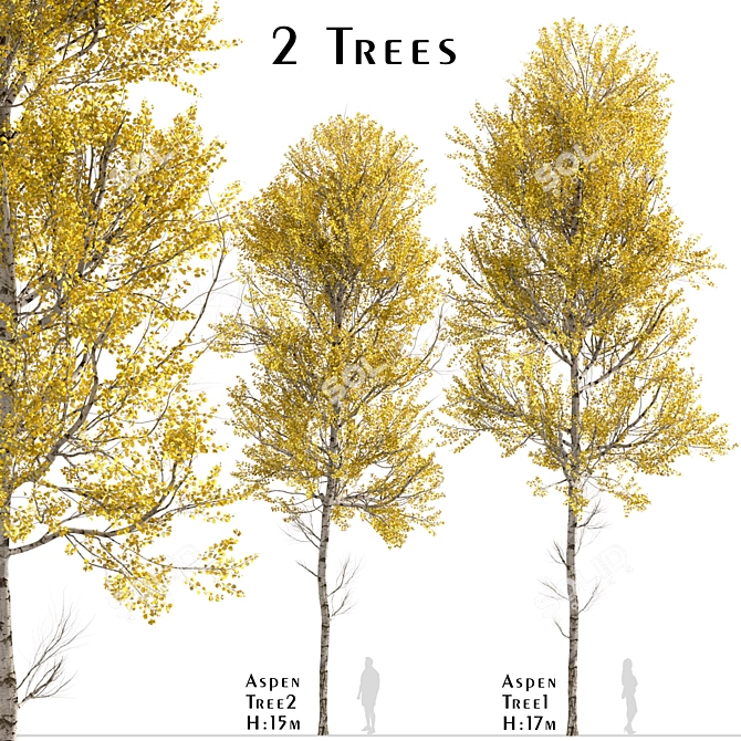 Quaking Aspen Trees (2-Piece Set) 3D model image 2