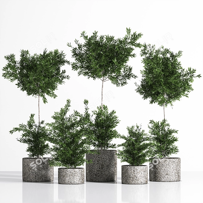 Premium Outdoor Plants Tree: Stunning 2015 Version 3D model image 1