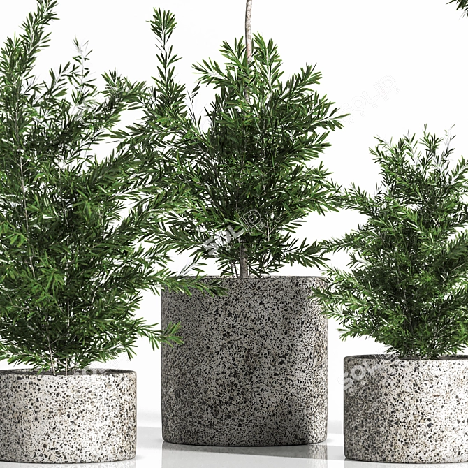 Premium Outdoor Plants Tree: Stunning 2015 Version 3D model image 2