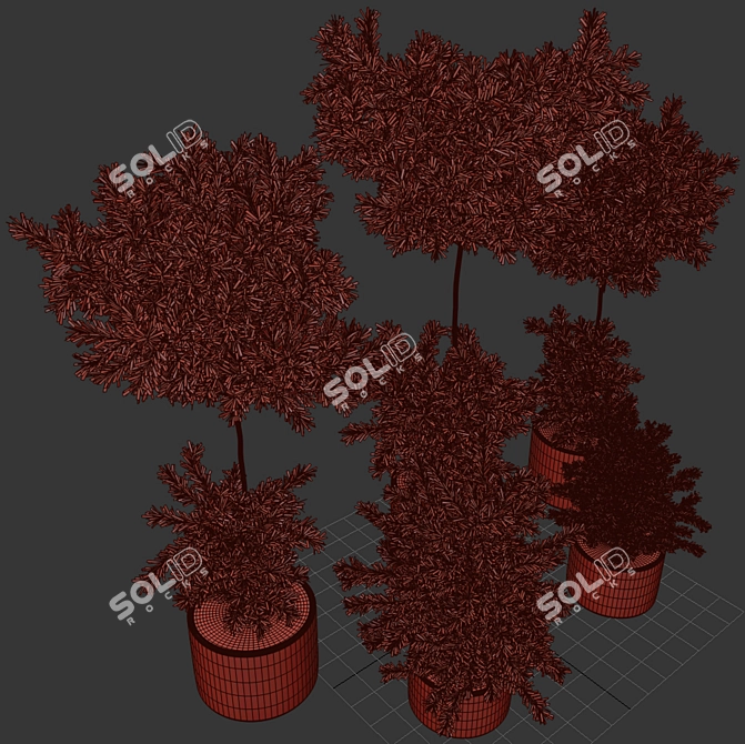 Premium Outdoor Plants Tree: Stunning 2015 Version 3D model image 4