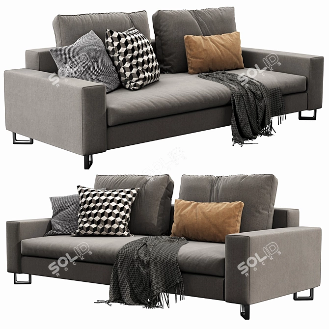 Modern Molteni&C Large Sofa 3D model image 3