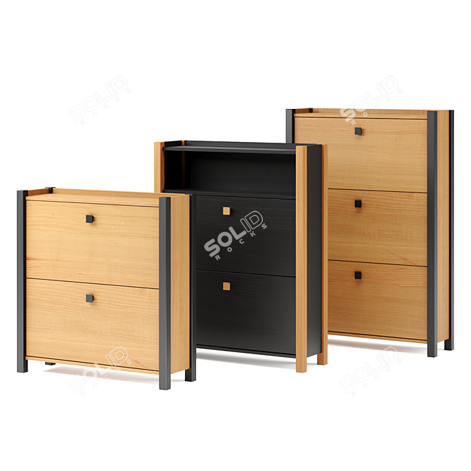 Woodman Shoe Cabinet - Stylish and Functional 3D model image 1