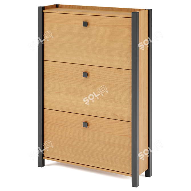 Woodman Shoe Cabinet - Stylish and Functional 3D model image 2