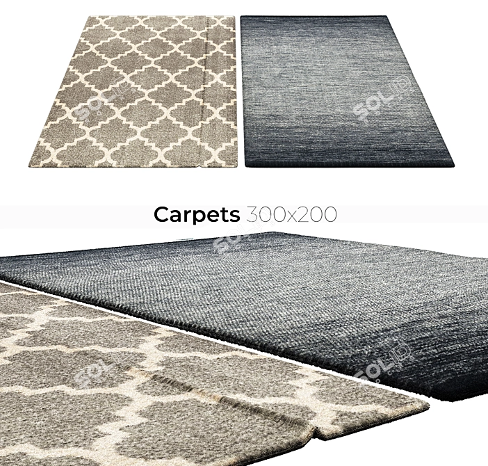 Stylish Interior Carpets 3D model image 1