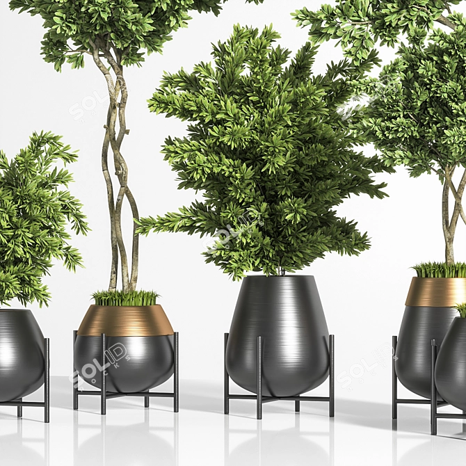 Botanic Bliss: Indoor Plant Set 3D model image 2