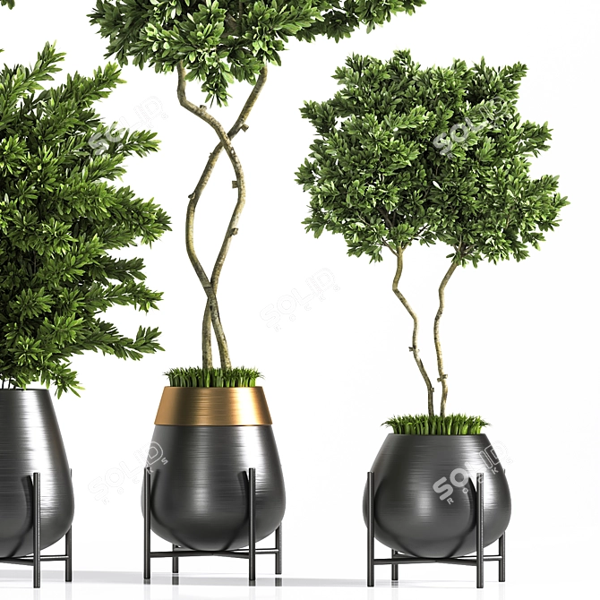 Botanic Bliss: Indoor Plant Set 3D model image 3