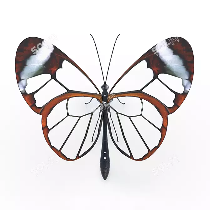 Ethereal GlassWing Beauty 3D model image 3