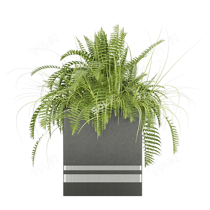 Botanical Bliss: Volume 31 Plant Collection 3D model image 4