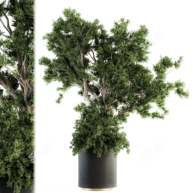 Concrete Pot Outdoor Tree Set 3D model image 1