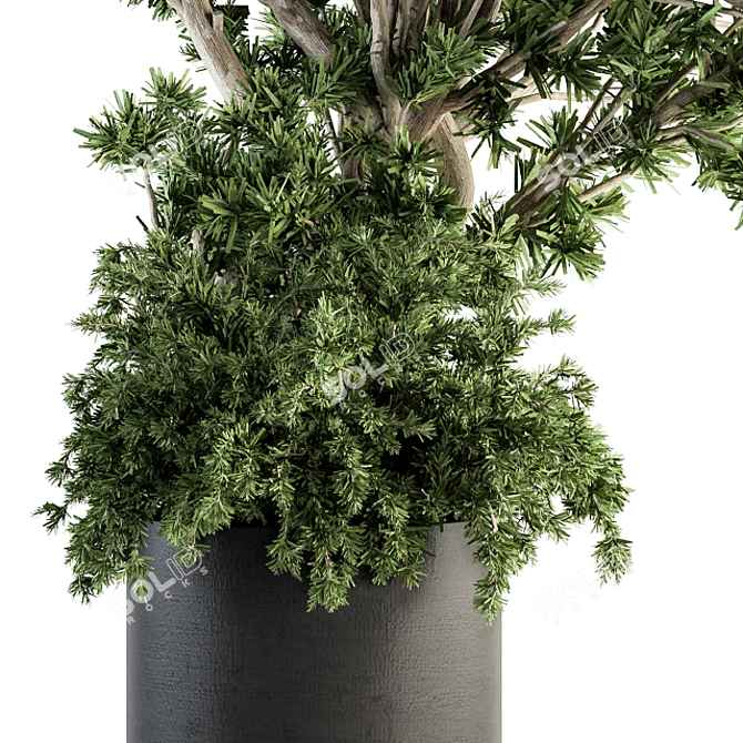 Concrete Pot Outdoor Tree Set 3D model image 2