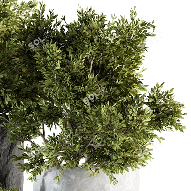 Rock Pot Outdoor Tree Set 136 3D model image 2