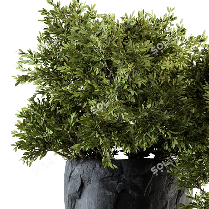 Rock Pot Outdoor Tree Set 136 3D model image 3