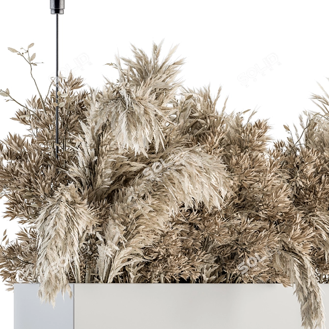 Eco Dried Plant Set 116 3D model image 3