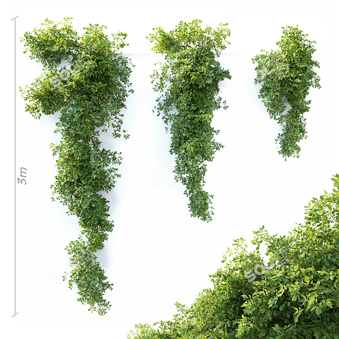  Hanging Plant Trio: 3m Height 3D model image 1