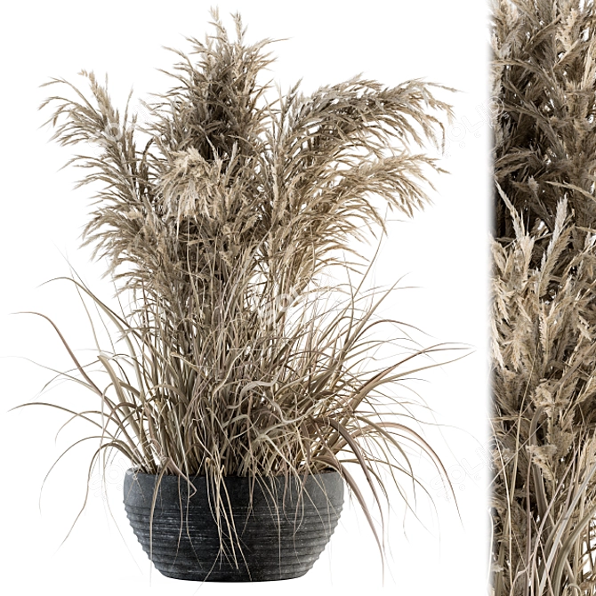 Vintage Dried Plant Set 3D model image 1