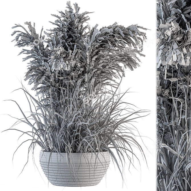 Vintage Dried Plant Set 3D model image 4