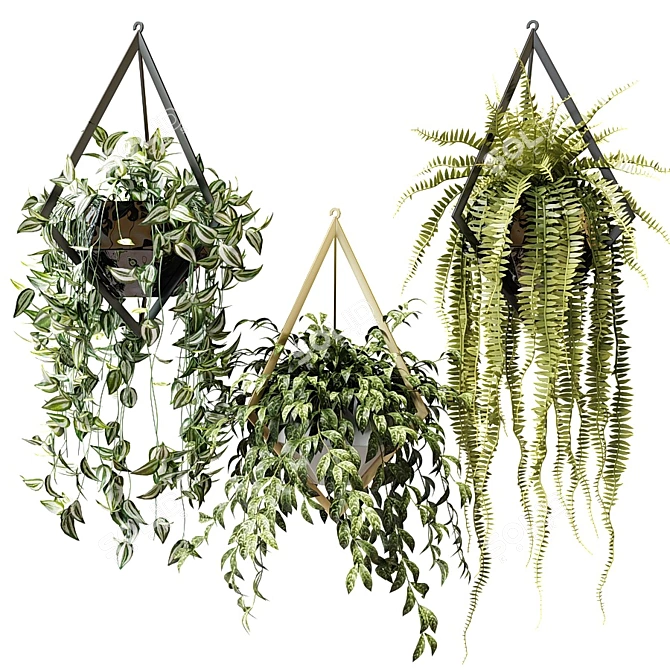 Hanging Rhombus Pots: Ampel Plants 3D model image 1