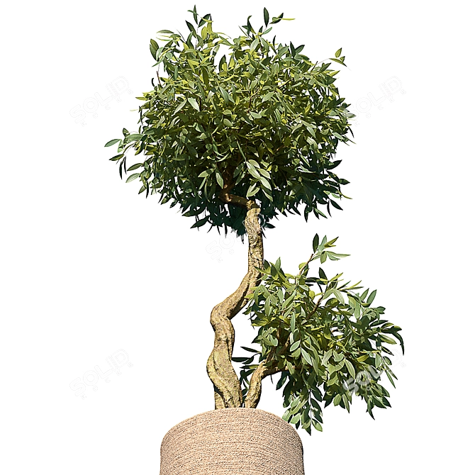 Modern Planter Basket Set 3D model image 4