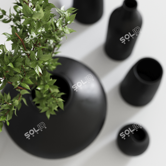 Elegant Black Vases Set with Pampa Grass 3D model image 3