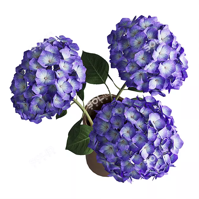 Elegant Hydrangea Branches Vase 3D model image 3