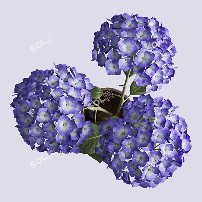 Elegant Hydrangea Branches Vase 3D model image 8