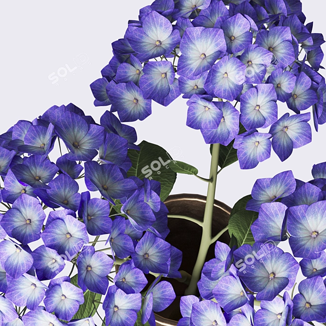 Elegant Hydrangea Branches Vase 3D model image 9