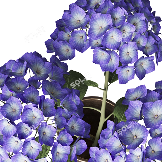 Elegant Hydrangea Branches Vase 3D model image 14