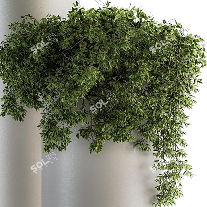 Green and White Indoor Plant Set 3D model image 3