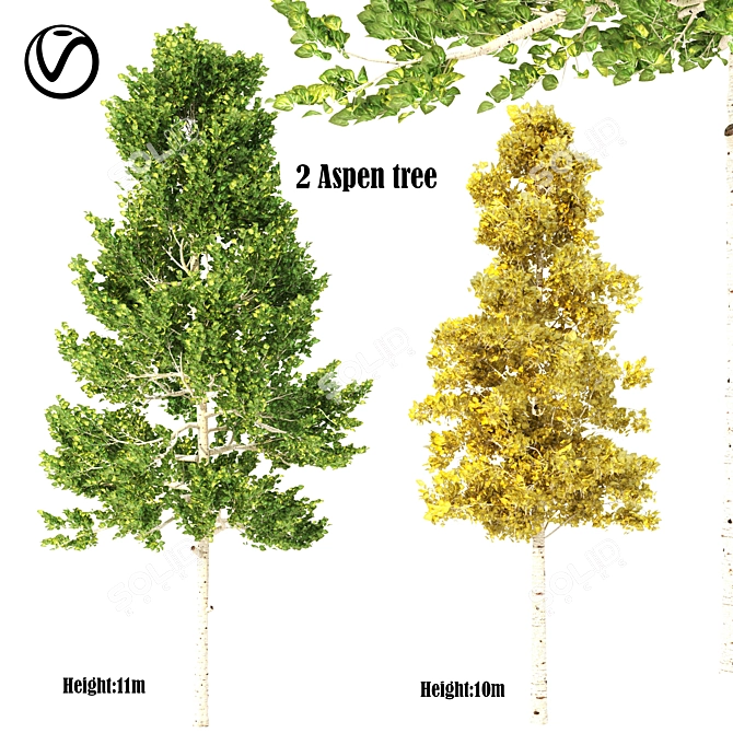  Dual Season Aspen Tree Set 3D model image 1