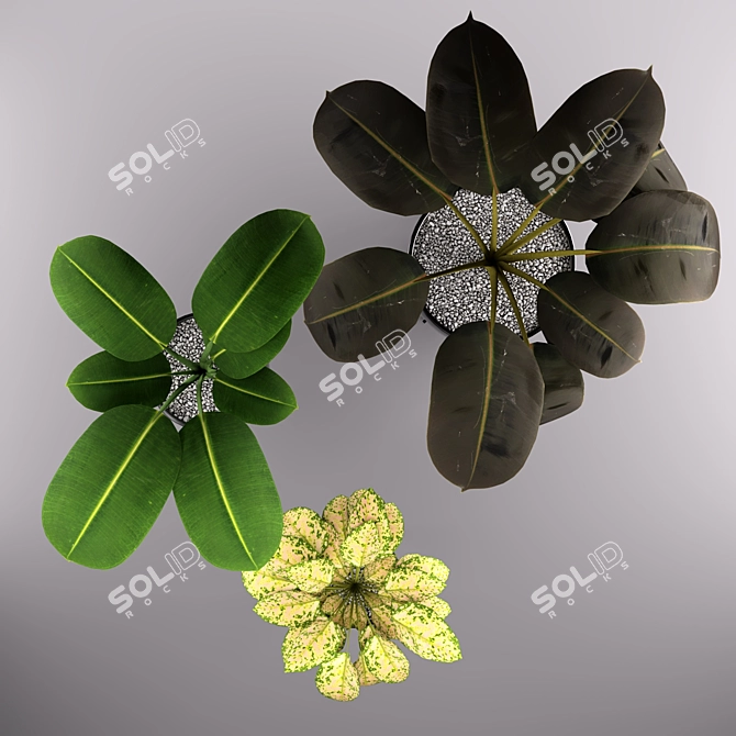 Modern Black Pot Trio 3D model image 2