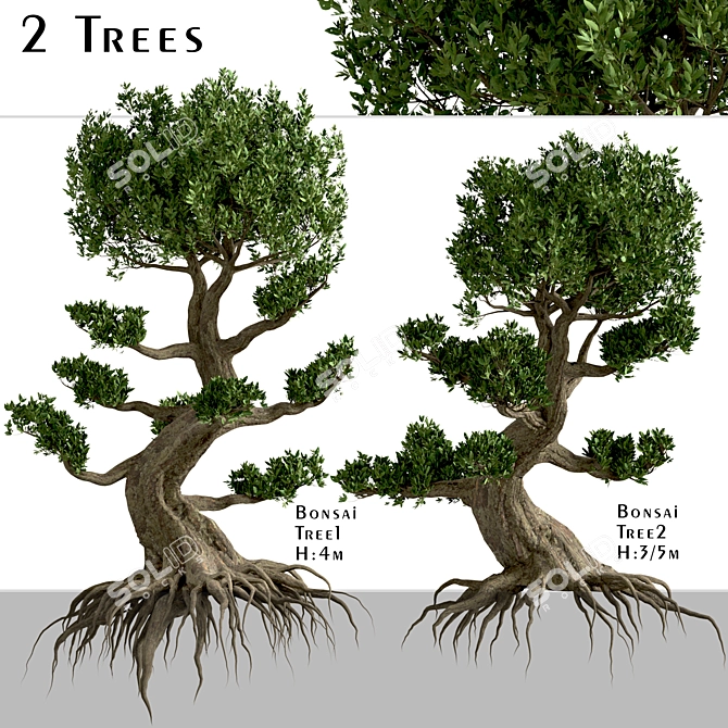 Miniature Bonsai Duo: 2 Enchanting Trees 3D model image 1