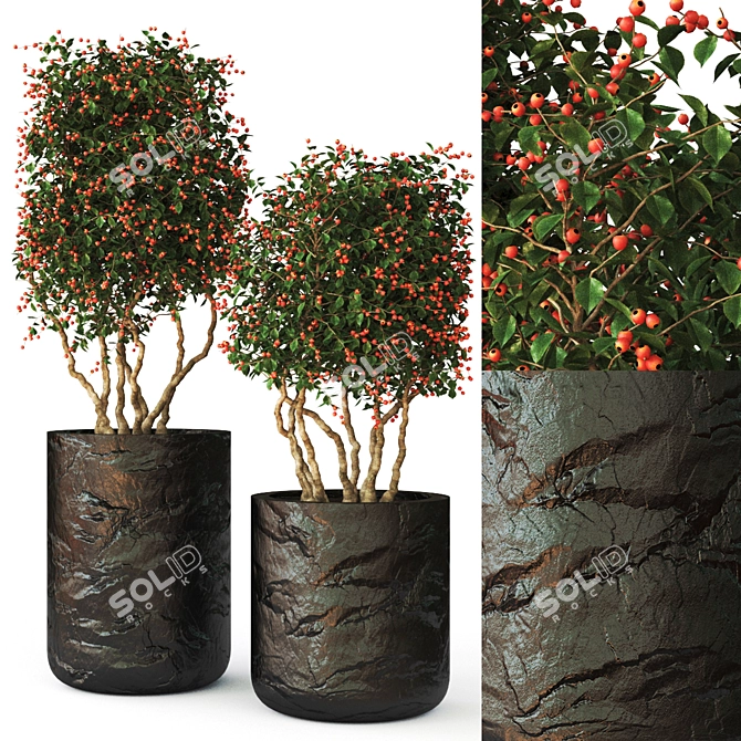 PolyCount: 414k | Unique Plant 3D model image 1