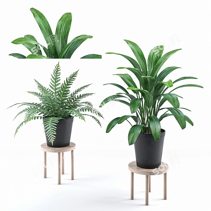 Botanical Oasis: A Vibrant Plant Collection 3D model image 1