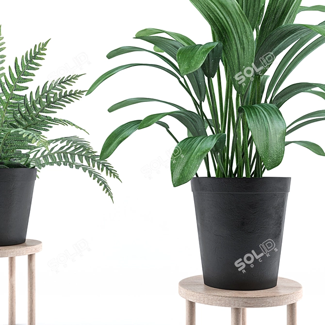 Botanical Oasis: A Vibrant Plant Collection 3D model image 2