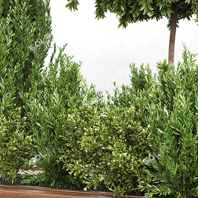 Garden Greenery Collection 3D model image 2