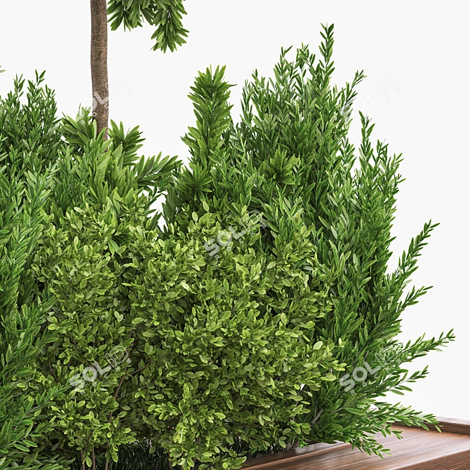 Garden Greenery Collection 3D model image 3