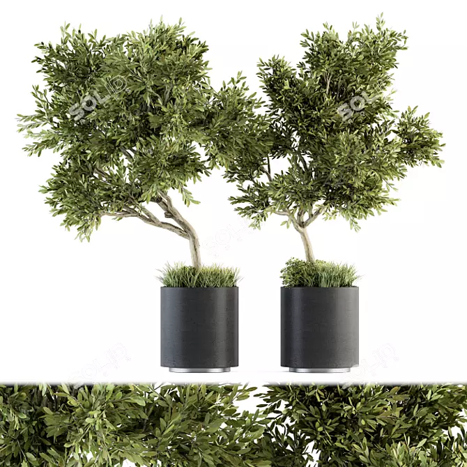 Indoor Oasis: Tree in Pot 3D model image 1