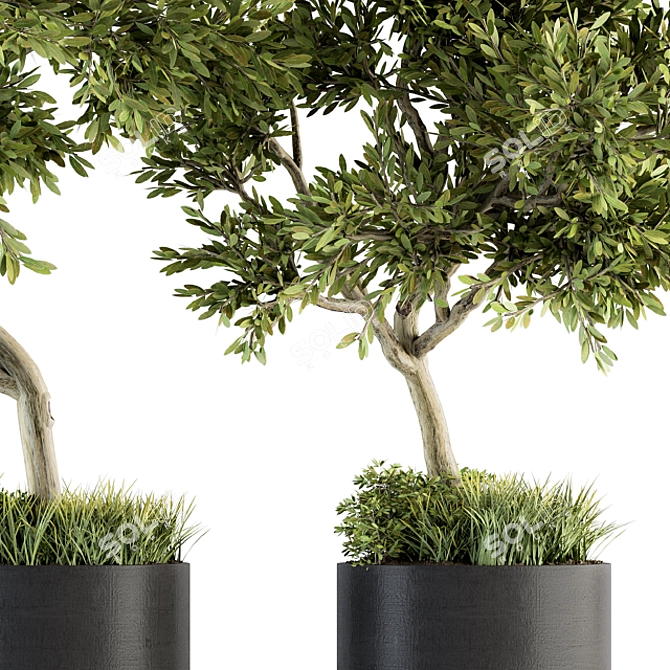 Indoor Oasis: Tree in Pot 3D model image 4