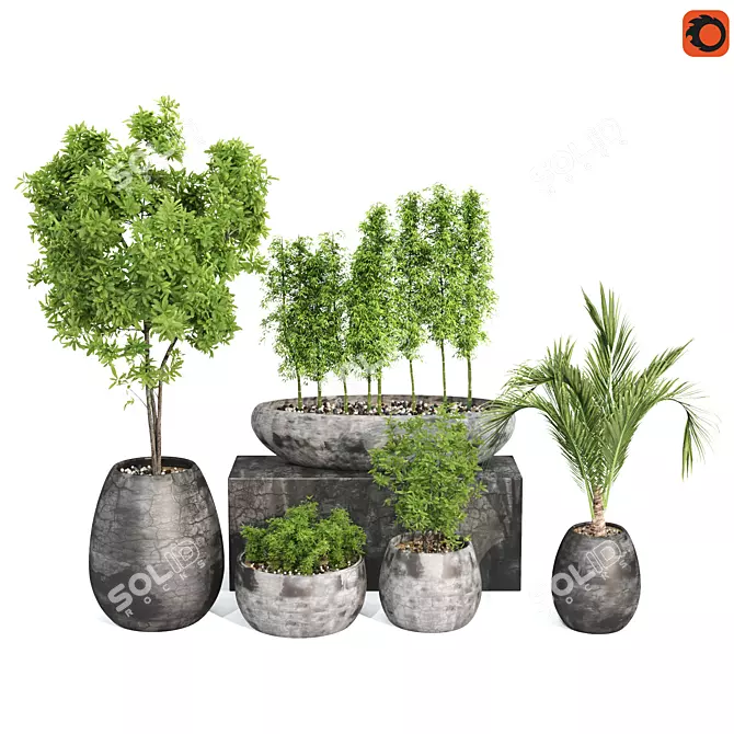 Greenery Delight: Outdoor Plant 3D model image 1