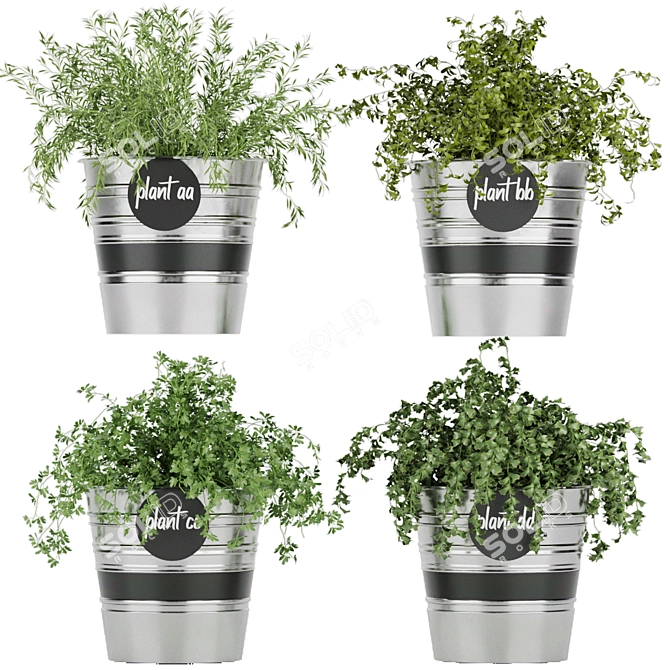 Lightweight Volume: Collection Plant Vol. 38 3D model image 1