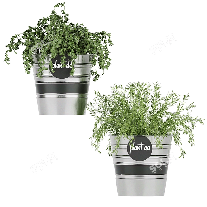 Lightweight Volume: Collection Plant Vol. 38 3D model image 3