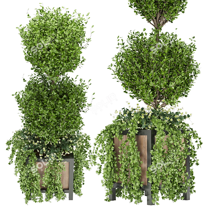 Elevate Your Space: Collection Plant Vol. 41 3D model image 2