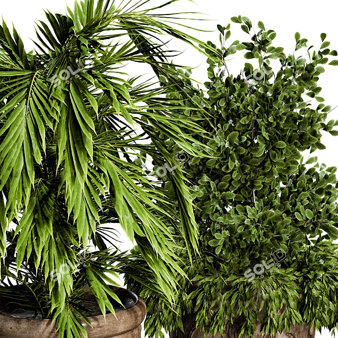 Realistic Plant Model for 3D Rendering 3D model image 2