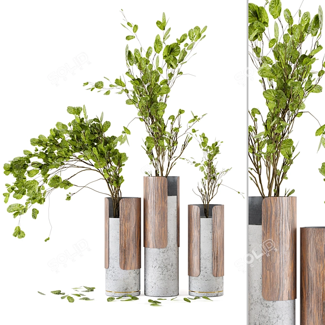 Wood & Concrete Vase Indoor Plants 3D model image 1