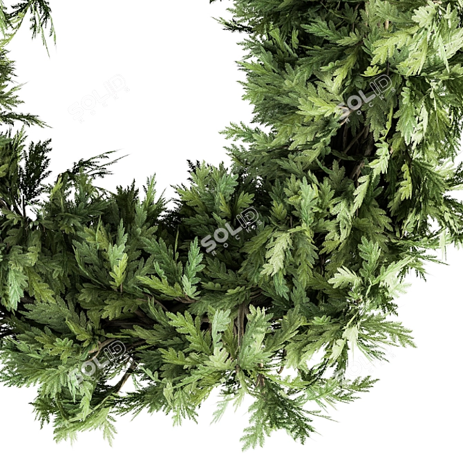 Festive Evergreen Wreath 3D model image 2