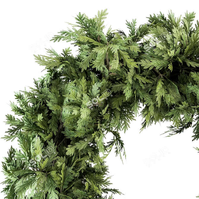 Festive Evergreen Wreath 3D model image 3
