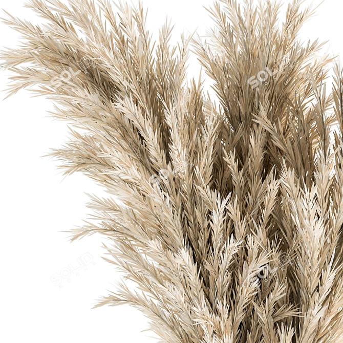 Elegant Pampas Bouquet 3D model image 3