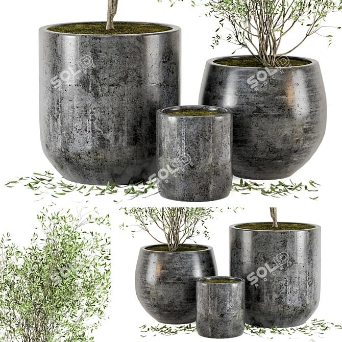 Dark Concrete Pot Outdoor Plant Set 3D model image 3